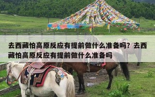 去西藏怕高原反应有提前做什么准备吗？去西藏怕高原反应有提前做什么准备吗