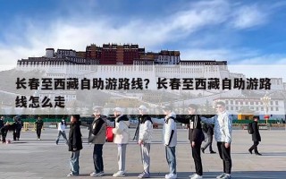 长春至西藏自助游路线？长春至西藏自助游路线怎么走