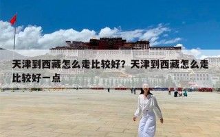 天津到西藏怎么走比较好？天津到西藏怎么走比较好一点