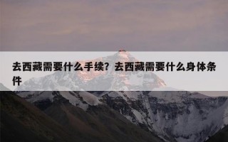 去西藏需要什么手续？去西藏需要什么身体条件
