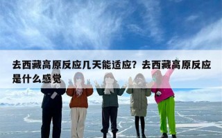 去西藏高原反应几天能适应？去西藏高原反应是什么感觉