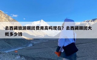 去西藏旅游跟团费用高吗现在？去西藏跟团大概多少钱