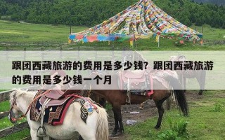 跟团西藏旅游的费用是多少钱？跟团西藏旅游的费用是多少钱一个月