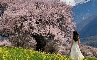 西藏旅游花费大概是多少？去西藏旅游每人要准备多少钱？