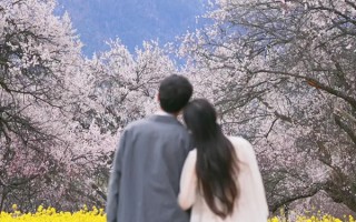 西藏拉萨林芝旅游最佳路线怎么安排？在拉萨林芝要走什么路线最好玩？