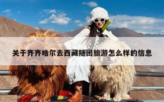 关于齐齐哈尔去西藏随团旅游怎么样的信息
