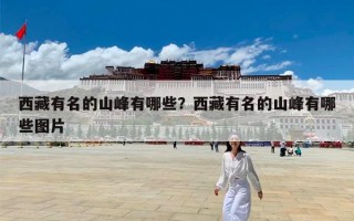 西藏有名的山峰有哪些？西藏有名的山峰有哪些图片