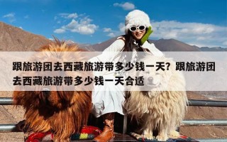 跟旅游团去西藏旅游带多少钱一天？跟旅游团去西藏旅游带多少钱一天合适