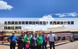 去西藏旅游需要跟团吗现在？去西藏旅行需要核酸检测吗