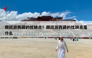 跟团游西藏的优缺点？跟团游西藏的优缺点是什么