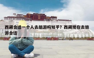 西藏合适一个人去旅游吗知乎？西藏现在去旅游合适
