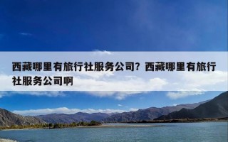 西藏哪里有旅行社服务公司？西藏哪里有旅行社服务公司啊