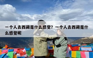 一个人去西藏是什么感觉？一个人去西藏是什么感觉呢