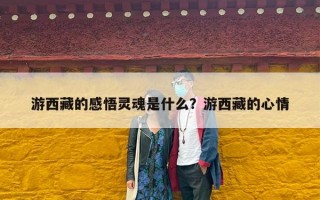 游西藏的感悟灵魂是什么？游西藏的心情