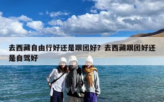 去西藏自由行好还是跟团好？去西藏跟团好还是自驾好
