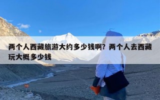 两个人西藏旅游大约多少钱啊？两个人去西藏玩大概多少钱