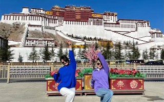现在两个人去西藏旅游大概需要多少钱？两人现在跟团去西藏旅游人均费用是多少？