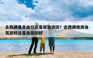 去西藏是自由行还是报旅游团？去西藏旅游自驾游好还是旅游团好