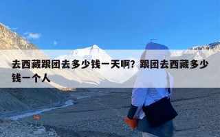 去西藏跟团去多少钱一天啊？跟团去西藏多少钱一个人