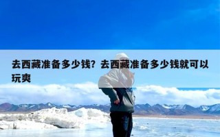 去西藏准备多少钱？去西藏准备多少钱就可以玩爽