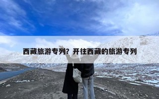 西藏旅游专列？开往西藏的旅游专列