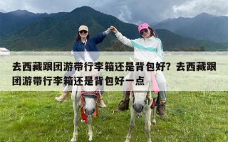 去西藏跟团游带行李箱还是背包好？去西藏跟团游带行李箱还是背包好一点