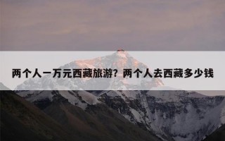 两个人一万元西藏旅游？两个人去西藏多少钱