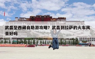 武昌至西藏自助游攻略？武昌到拉萨的火车风景好吗