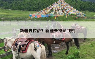 新疆去拉萨？新疆去拉萨飞机