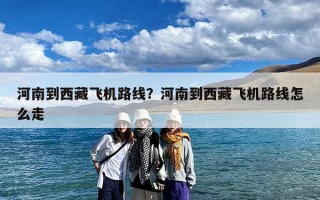 河南到西藏飞机路线？河南到西藏飞机路线怎么走