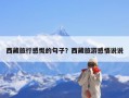 西藏旅行感慨的句子？西藏旅游感悟说说