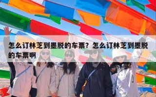 怎么订林芝到墨脱的车票？怎么订林芝到墨脱的车票啊