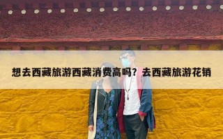想去西藏旅游西藏消费高吗？去西藏旅游花销