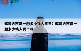辉哥去西藏一趟多少钱人民币？辉哥去西藏一趟多少钱人民币啊