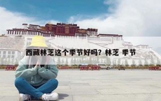 西藏林芝这个季节好吗？林芝 季节