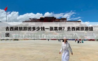 去西藏旅游团多少钱一张票啊？去西藏旅游组团