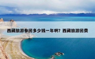 西藏旅游参团多少钱一年啊？西藏旅游团费