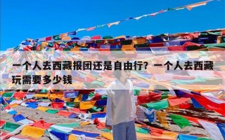 一个人去西藏报团还是自由行？一个人去西藏玩需要多少钱