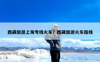 西藏旅游上海专线火车？西藏旅游火车路线