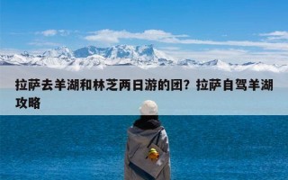拉萨去羊湖和林芝两日游的团？拉萨自驾羊湖攻略