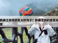 西藏之旅找到意义的句子？西藏之旅的感受文案