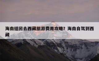 海南组团去西藏旅游费用攻略？海南自驾到西藏