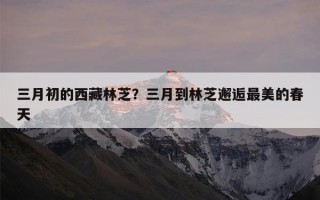 三月初的西藏林芝？三月到林芝邂逅最美的春天