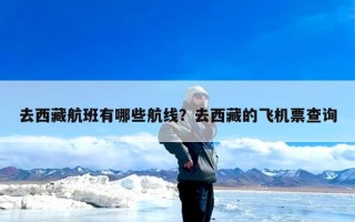 去西藏航班有哪些航线？去西藏的飞机票查询
