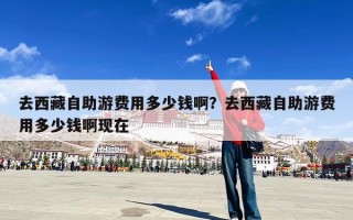 去西藏自助游费用多少钱啊？去西藏自助游费用多少钱啊现在
