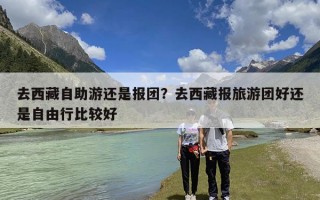 去西藏自助游还是报团？去西藏报旅游团好还是自由行比较好