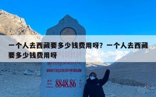 一个人去西藏要多少钱费用呀？一个人去西藏要多少钱费用呀