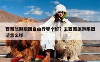 西藏旅游跟团自由行哪个好？去西藏旅游跟团游怎么样