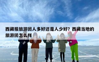 西藏报旅游团人多好还是人少好？西藏当地的旅游团怎么样