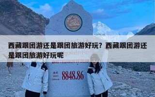 西藏跟团游还是跟团旅游好玩？西藏跟团游还是跟团旅游好玩呢